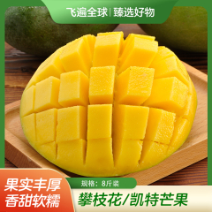 海南/树上熟贵妃芒/4.8-5斤