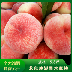 龙泉/白凤水蜜桃礼盒/4.8斤